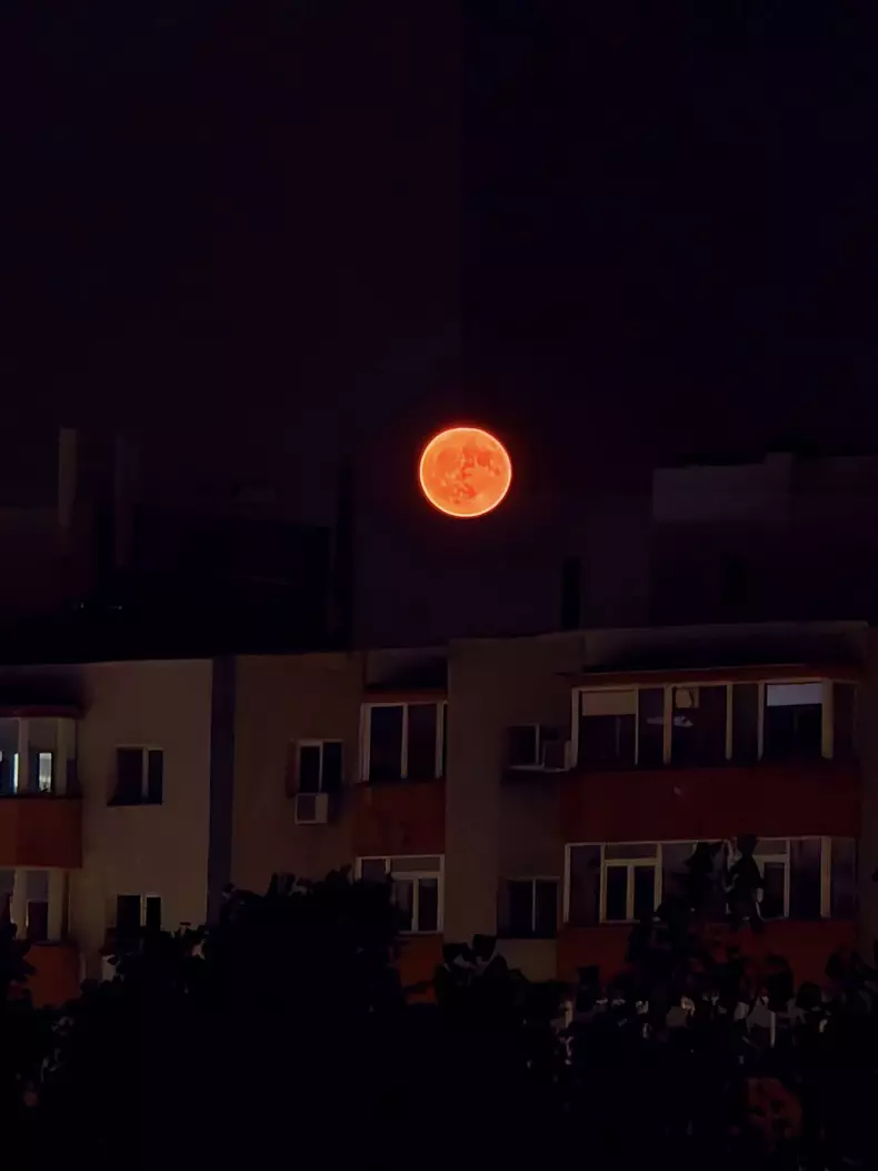 luna-capsuna-bucuresti-facebook-alina-draghia