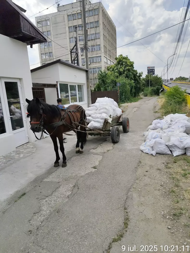 saci moloz-caruta-cal-strada-ploiesti- iulie 2025