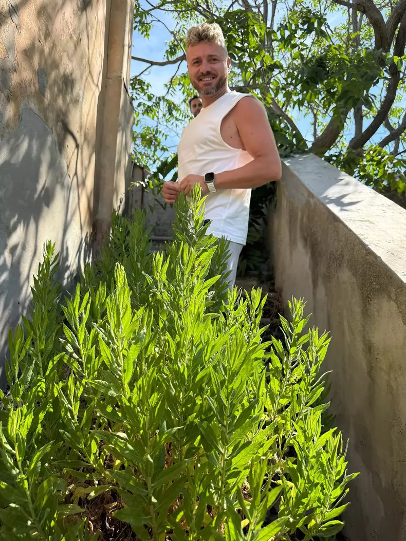 Gabriela Cristea - proiect secret (5)