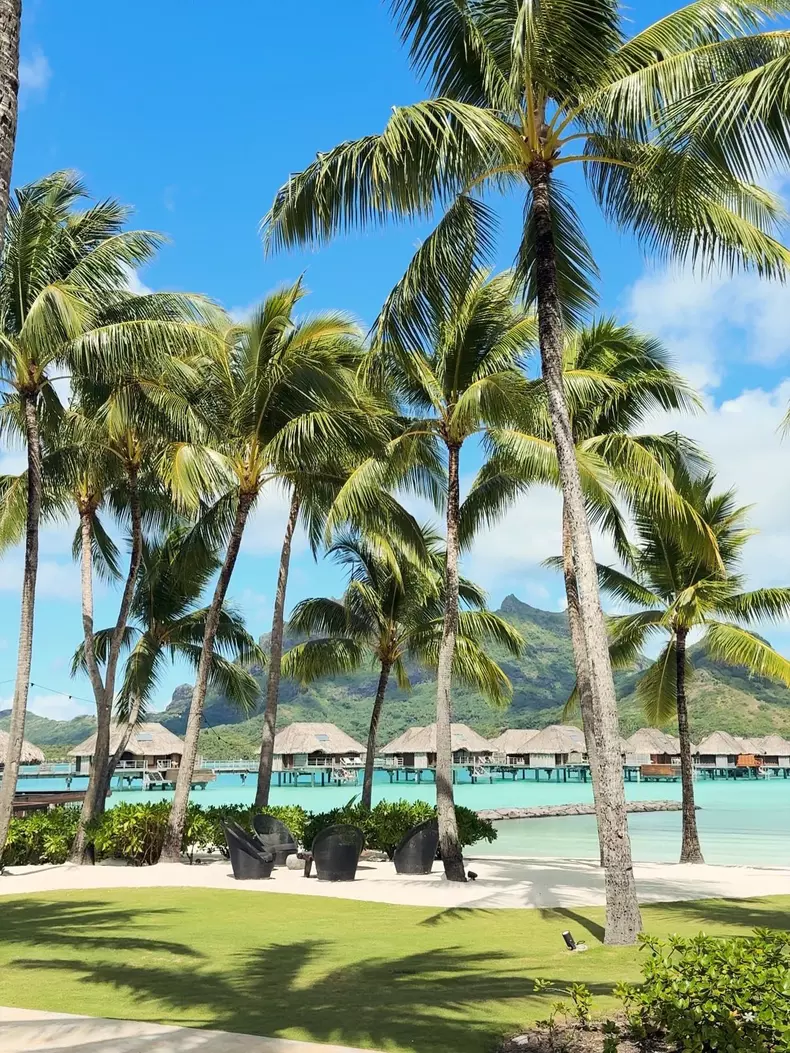 corina caragea bora bora 5