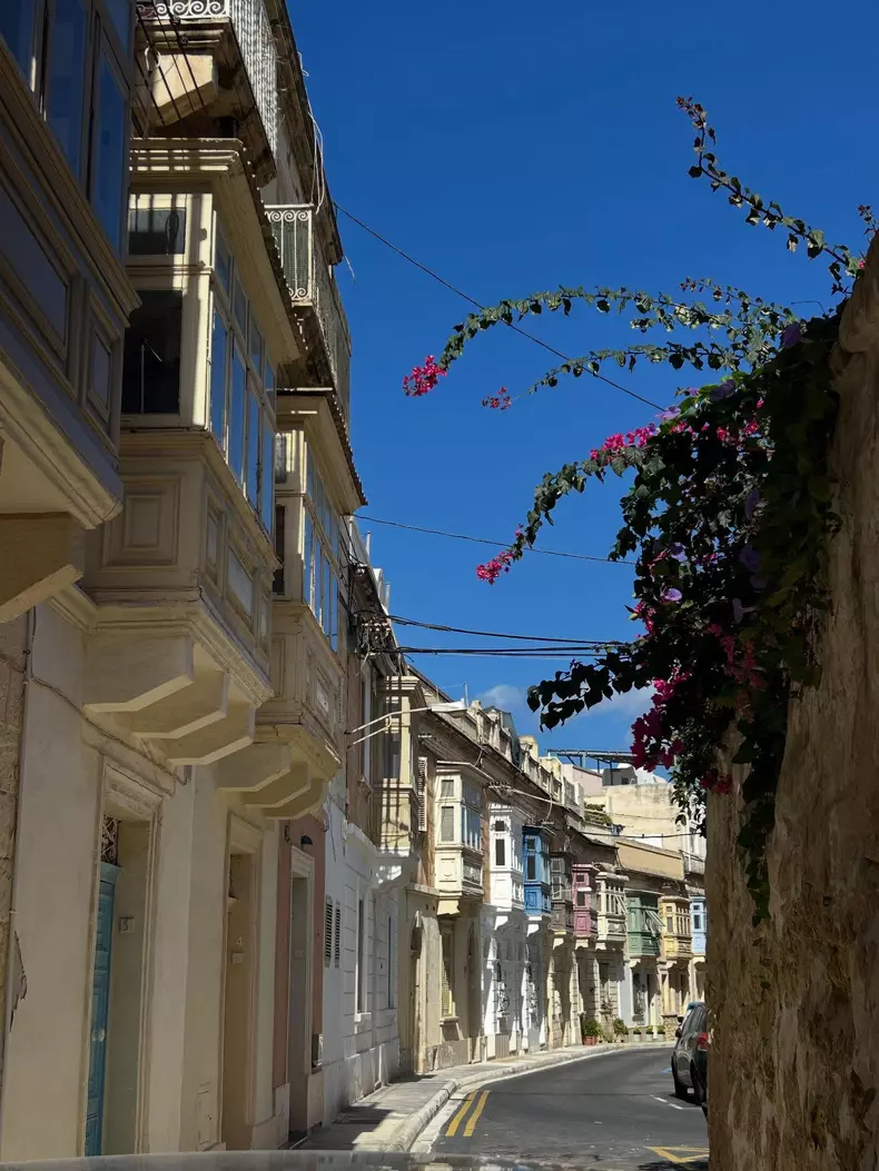 mirela vaida vacanta malta 6