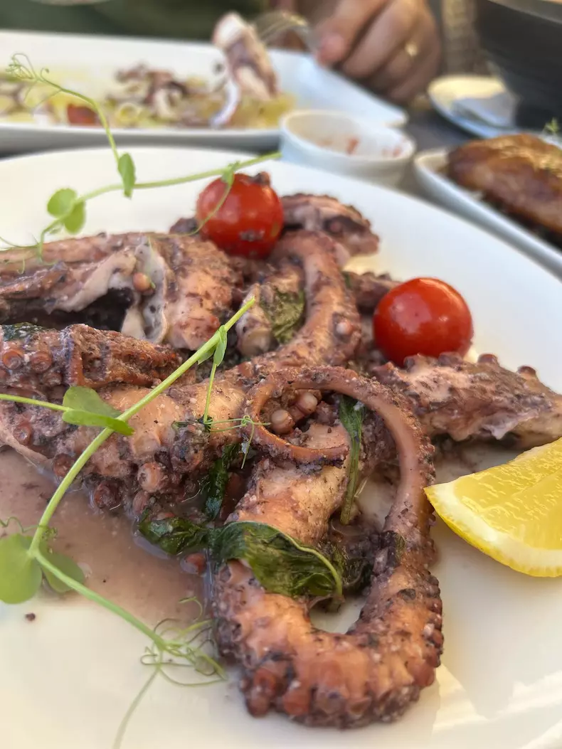 mirela vaida vacanta malta 7