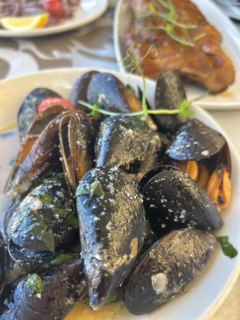 mirela vaida vacanta malta 8