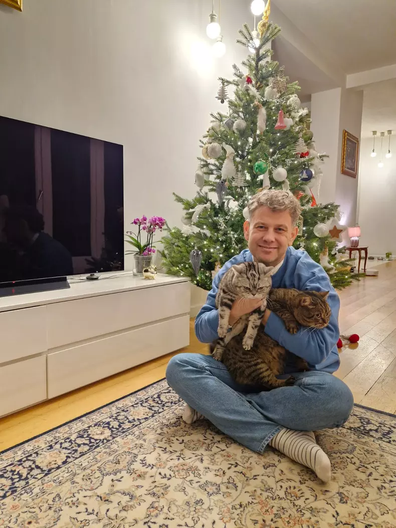 mihai ghita brad craciun pisici (4)