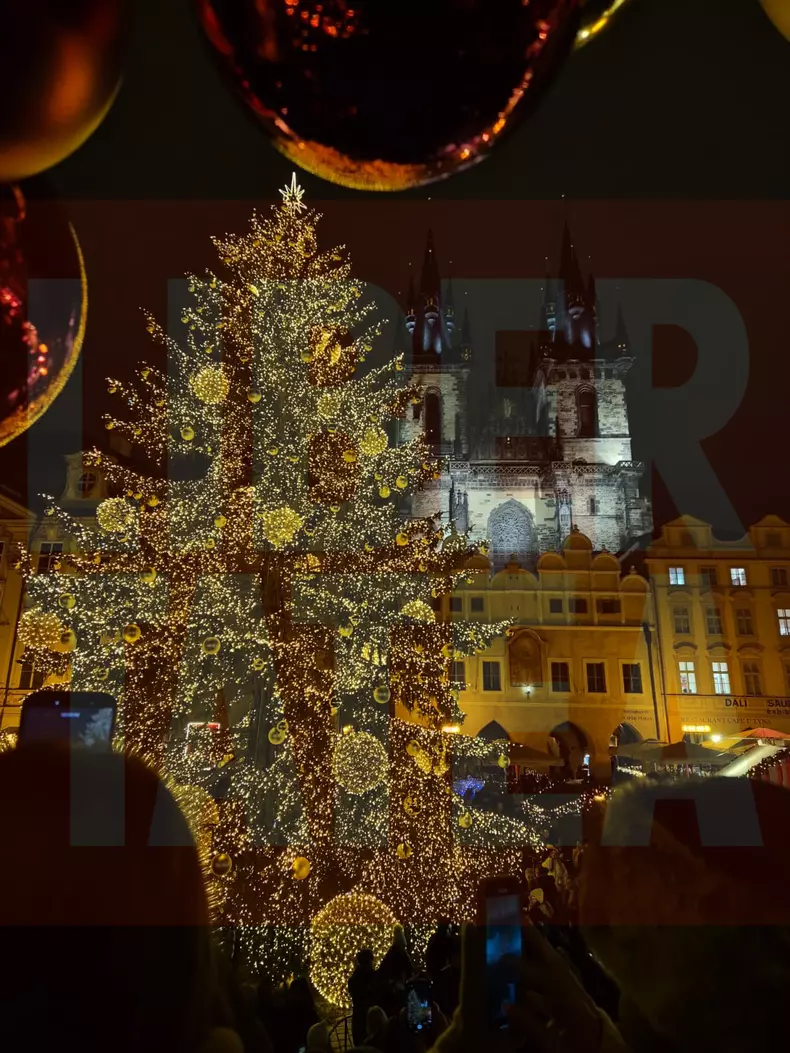 targ craciun praga (3)