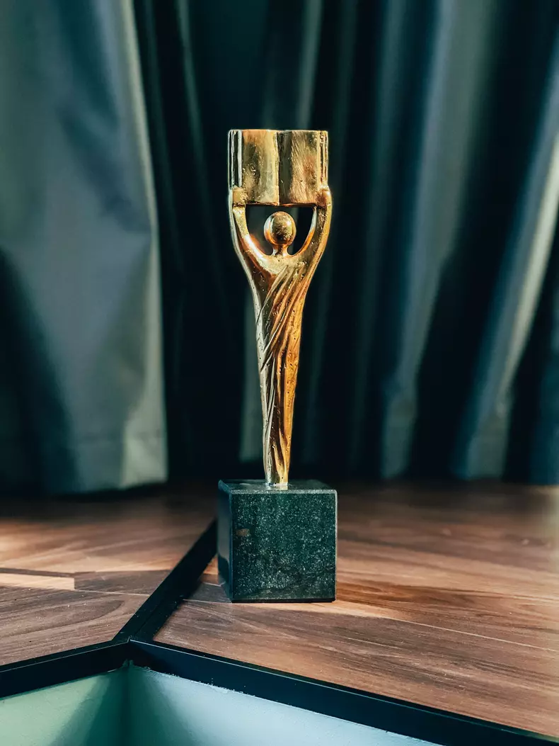 gala premiilor literare bookzone (7)