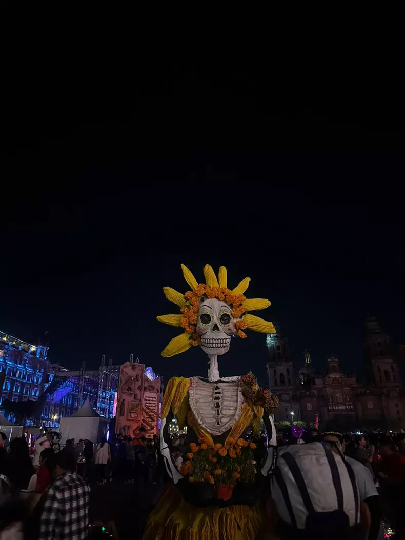 Laura Claudia Carp, calatorii 2026-02-01 at 13.12.33 (1)