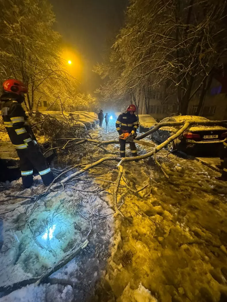 WhatsApp Image 2026-02-18 at 09.53.14 (3)