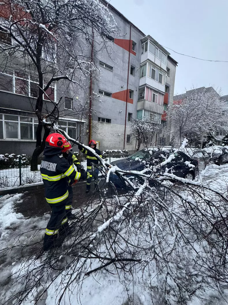 WhatsApp Image 2026-02-18 at 09.53.14