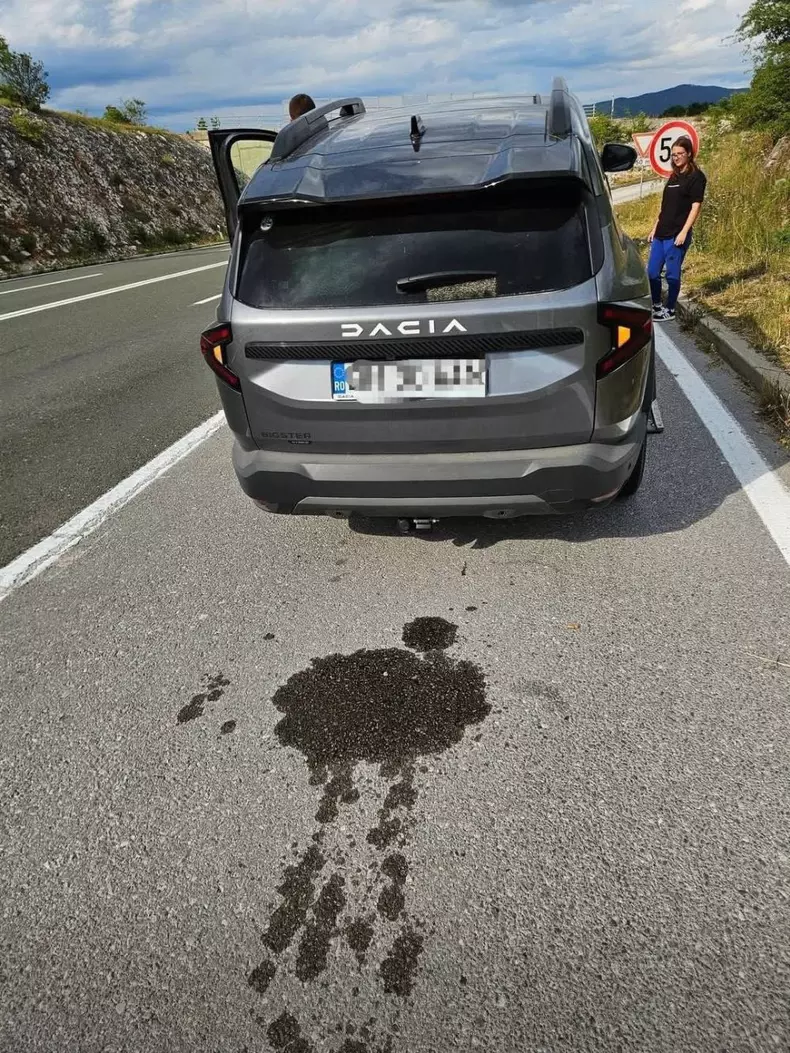 dacia2