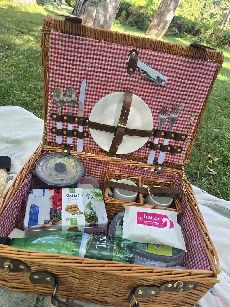 oana roman picnic (1)