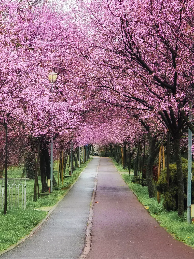 tunelul Iubirii - Razvan vitionescu (2)