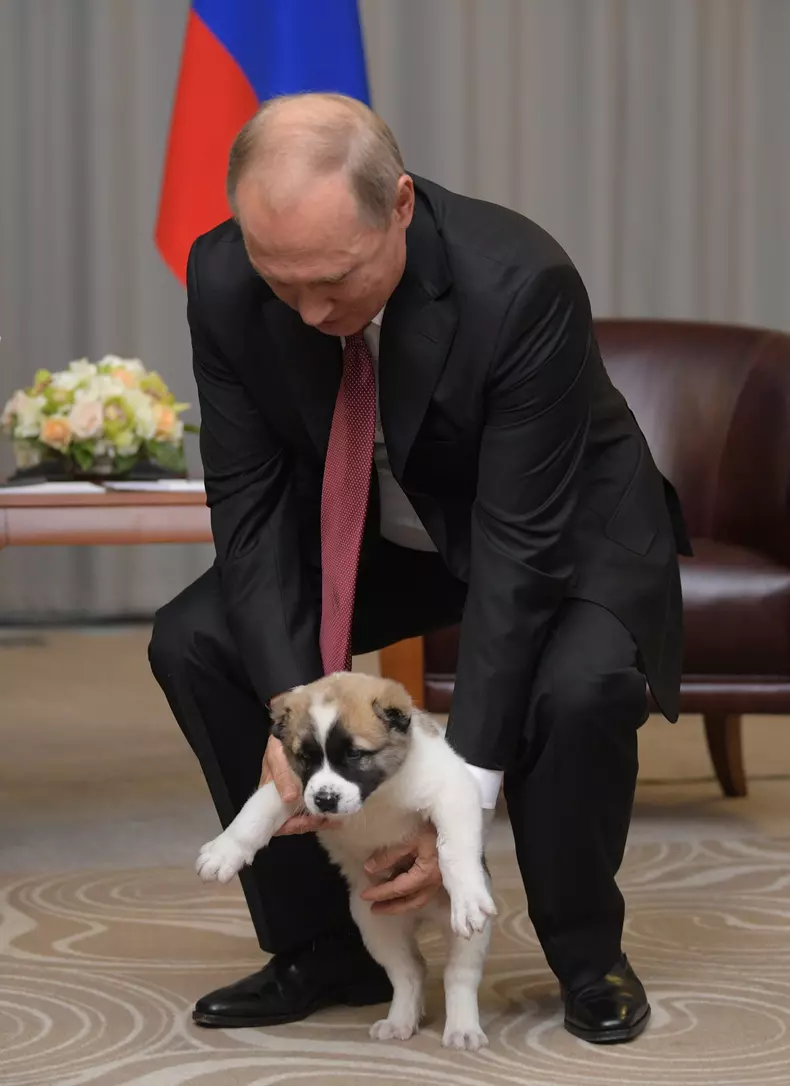 Vladimir Putin alaturi de caini
