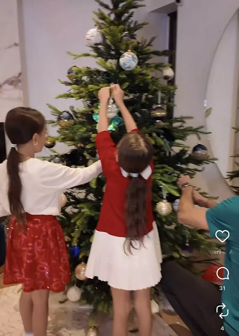 andreea balan brad de craciun (4)