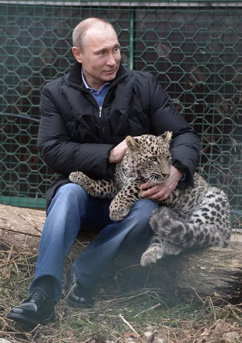vladimir-putin-profimedia-0183593687