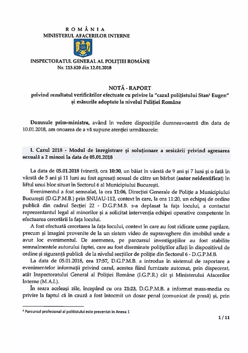 raport bogdan despescu 1