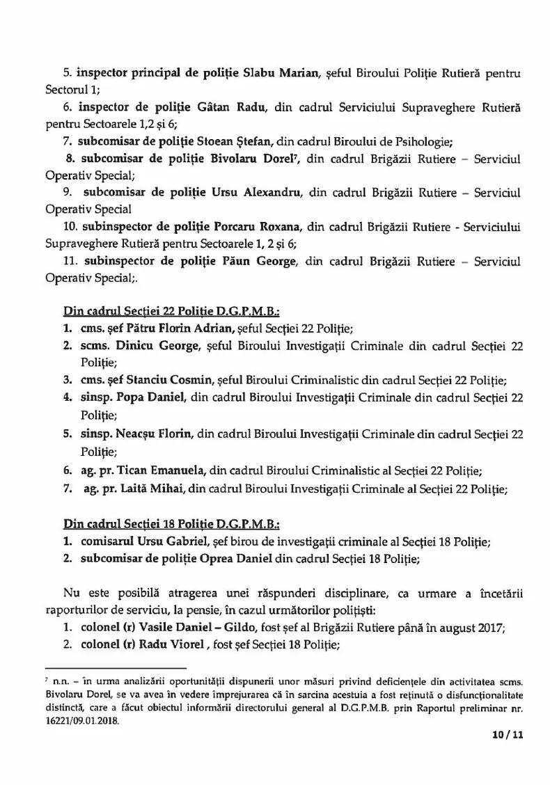 raport bogdan despescu 10