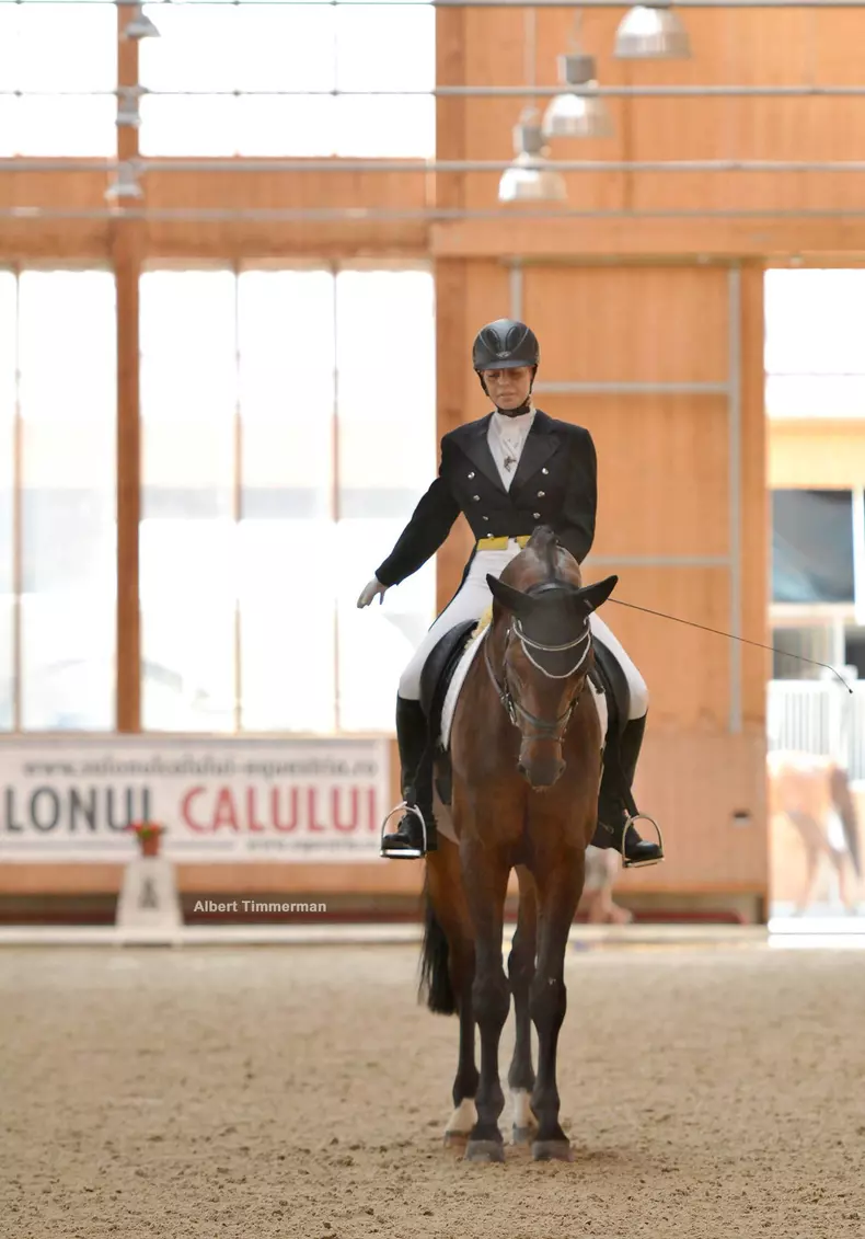 Dresaj ecvestru_Clubul Equestria (2) (1)