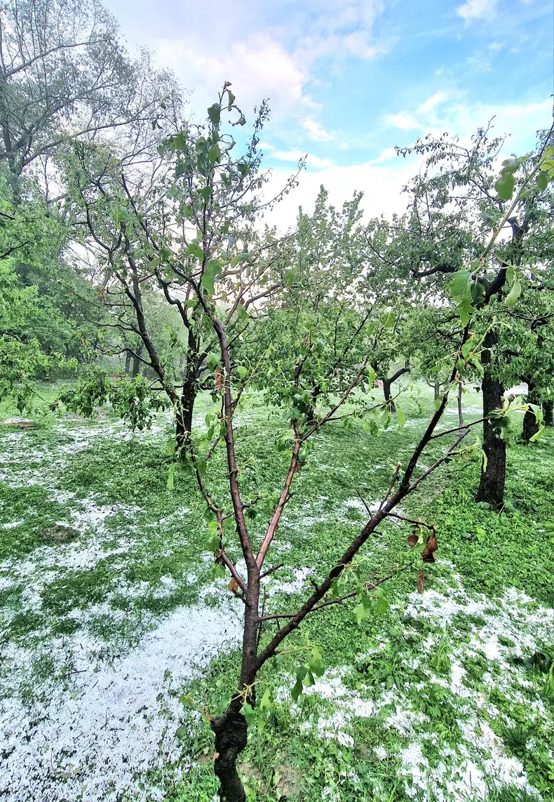 44093997475097083390657032411436836158125914n-1