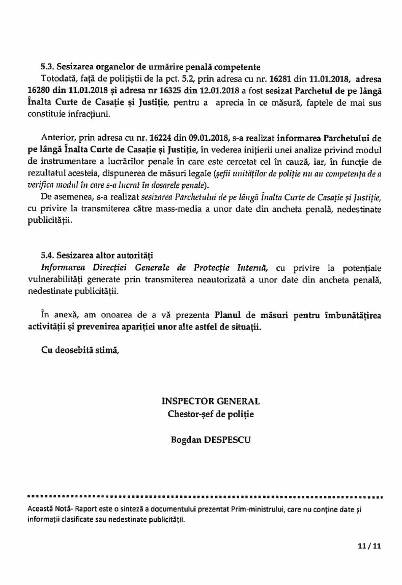 raport bogdan despescu 11