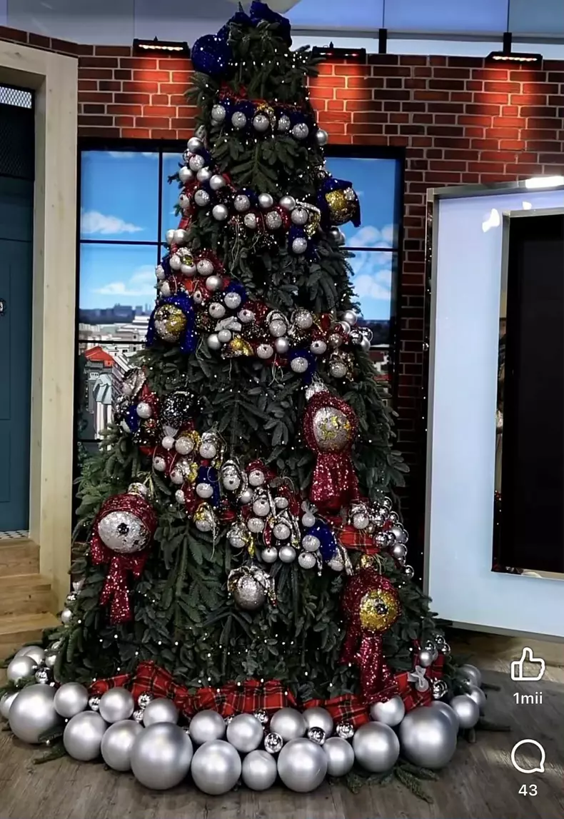 anna lesko globuri brad craciun (13)