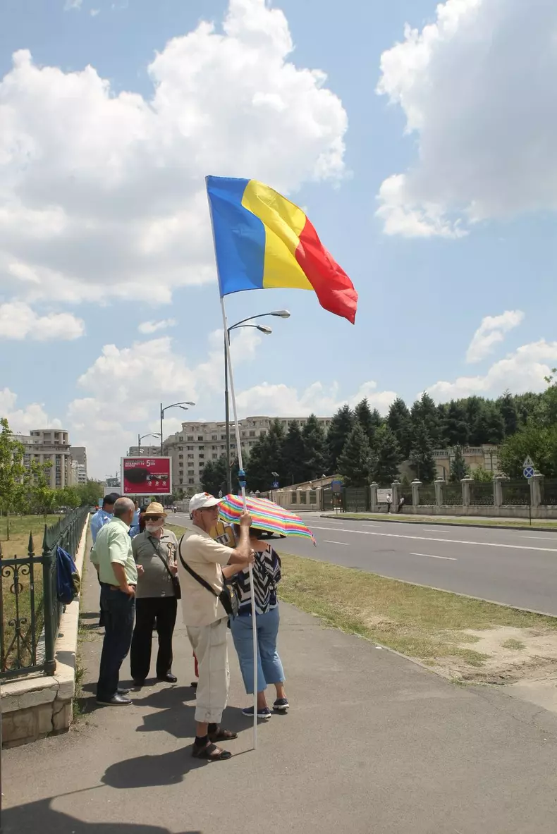protest palatul parlamentului adi manolache (11)