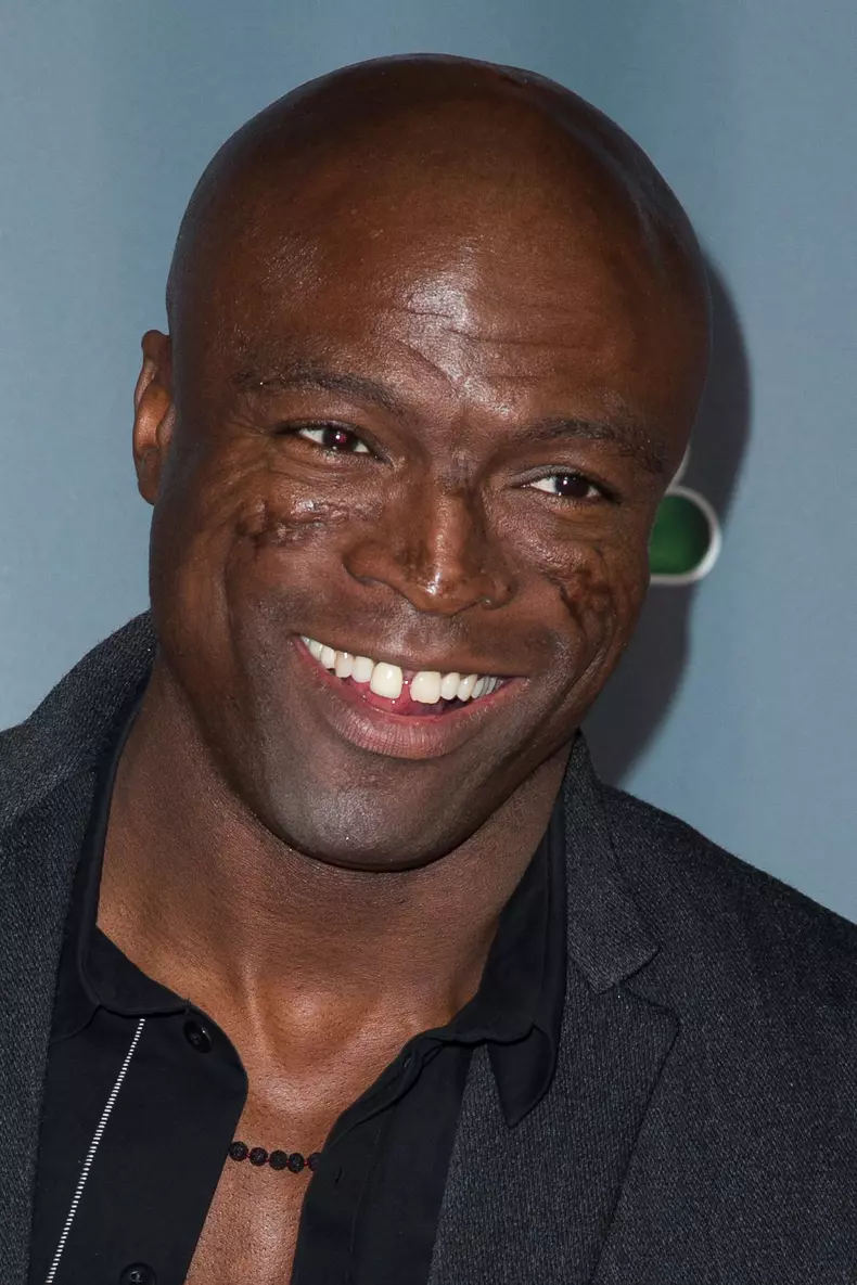 seal-4.jpg