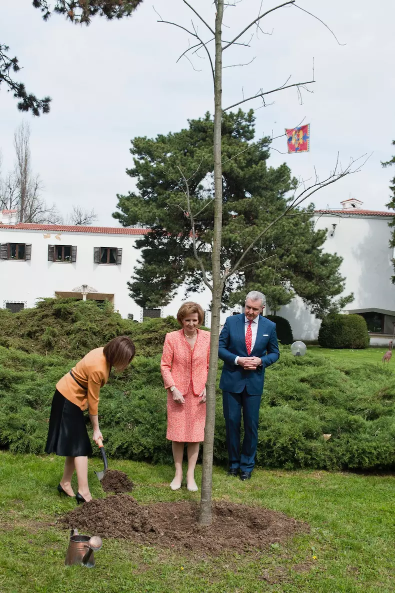 3393360838930975318024105654170174902256345n