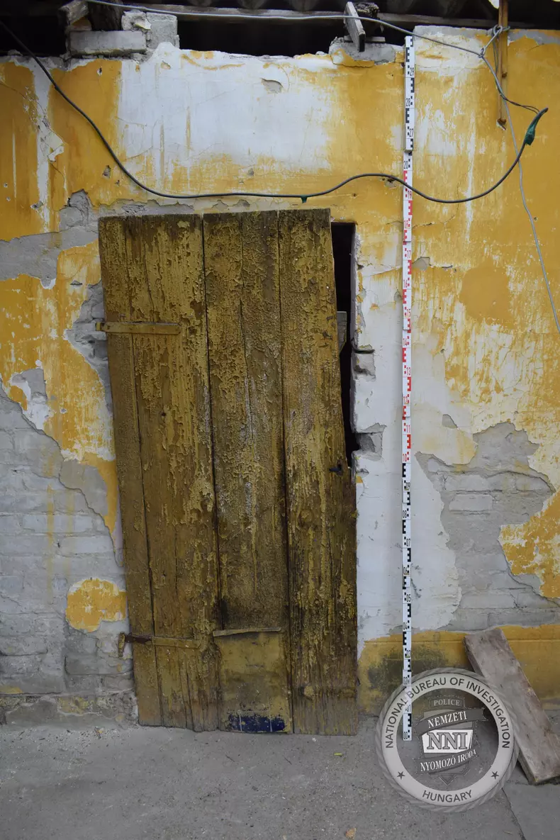 2024-11-15_realizalas-GALERIA-01