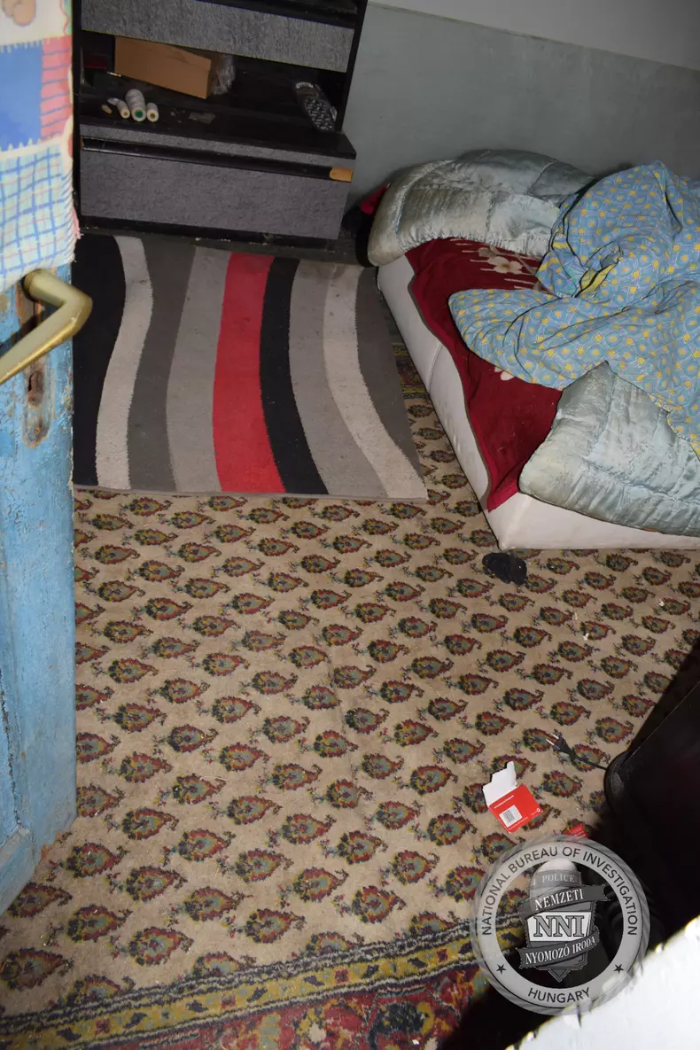 2024-11-15_realizalas-GALERIA-04
