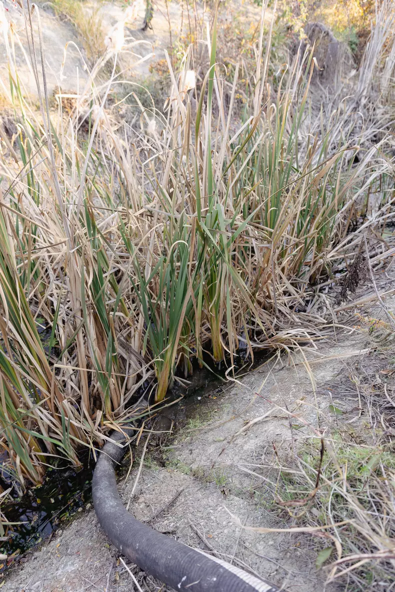 depozit-gunoaie-pantazi-p-55