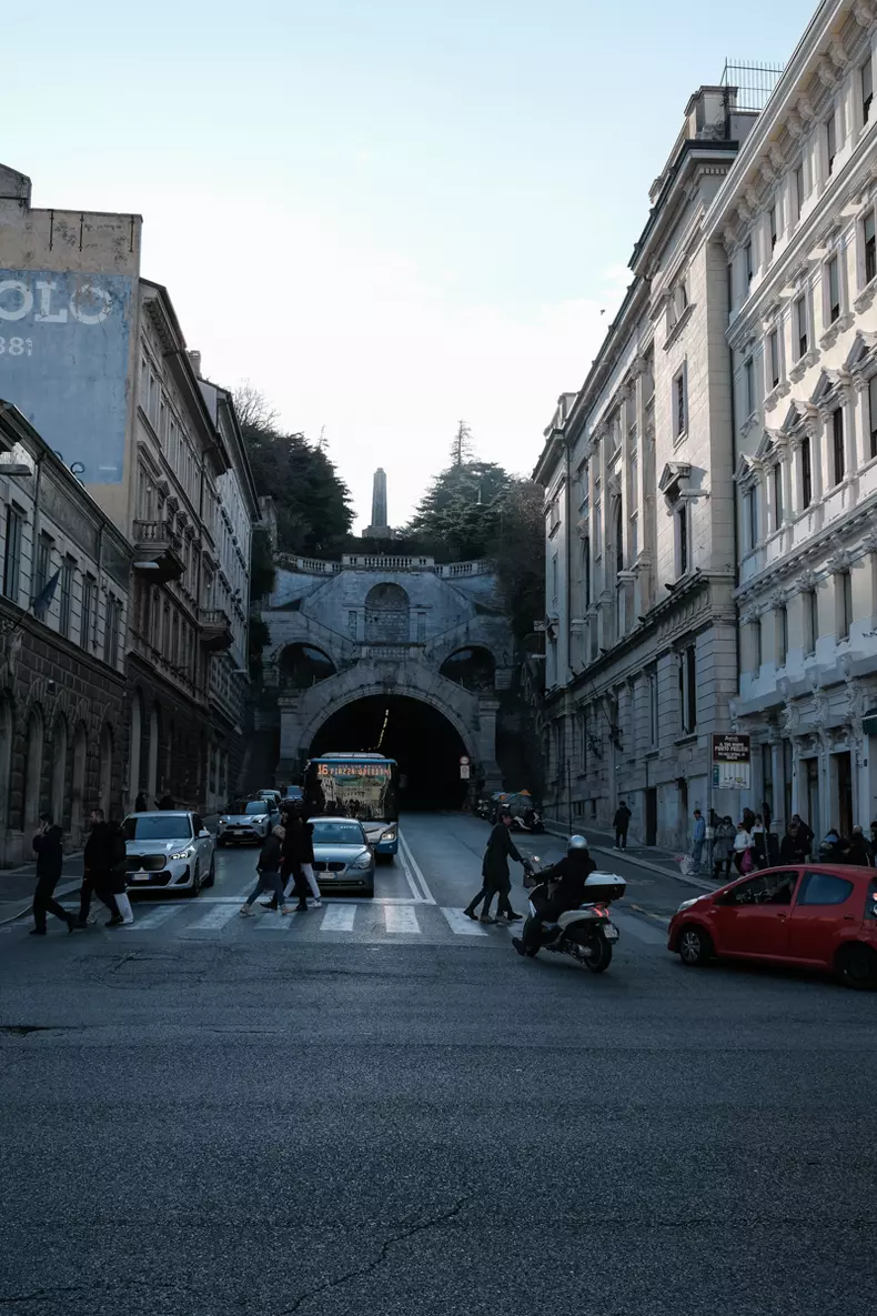 Ilustratie trieste (18)