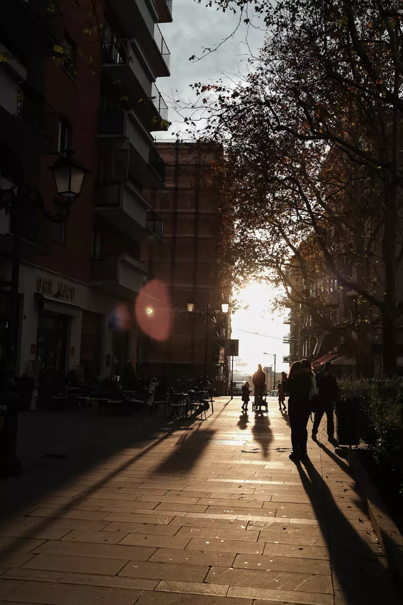 Ilustratie trieste (19)