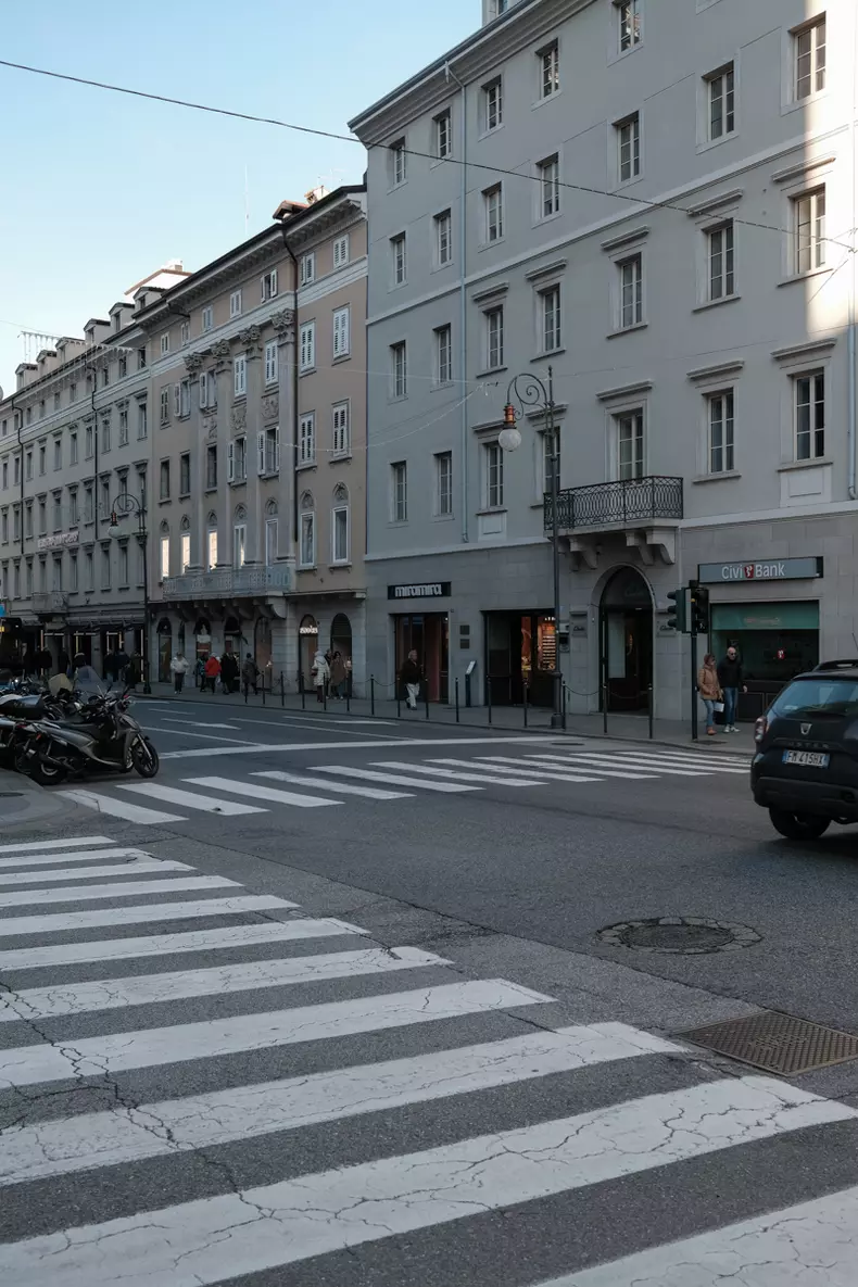 Ilustratie trieste (7)