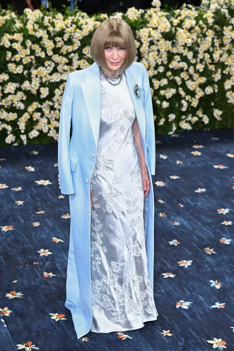 MET Gala 2025: 'Superfine: Tailoring Black Style' RED CARPET