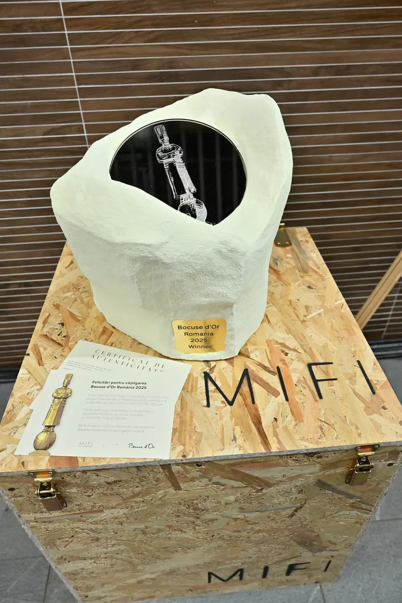 bocuse dor cupa mondiala a gastronomiei (21)