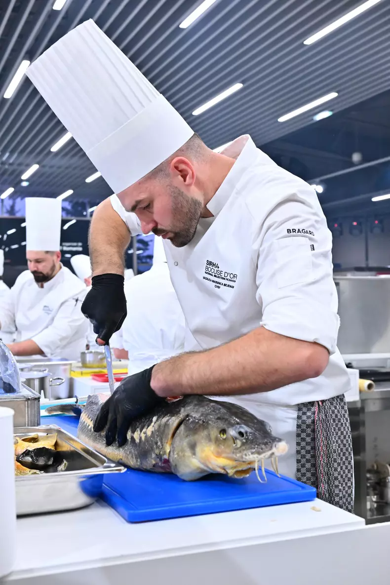 bocuse dor cupa mondiala a gastronomiei (4)