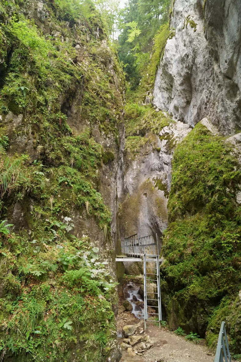 110839276lnormalnone