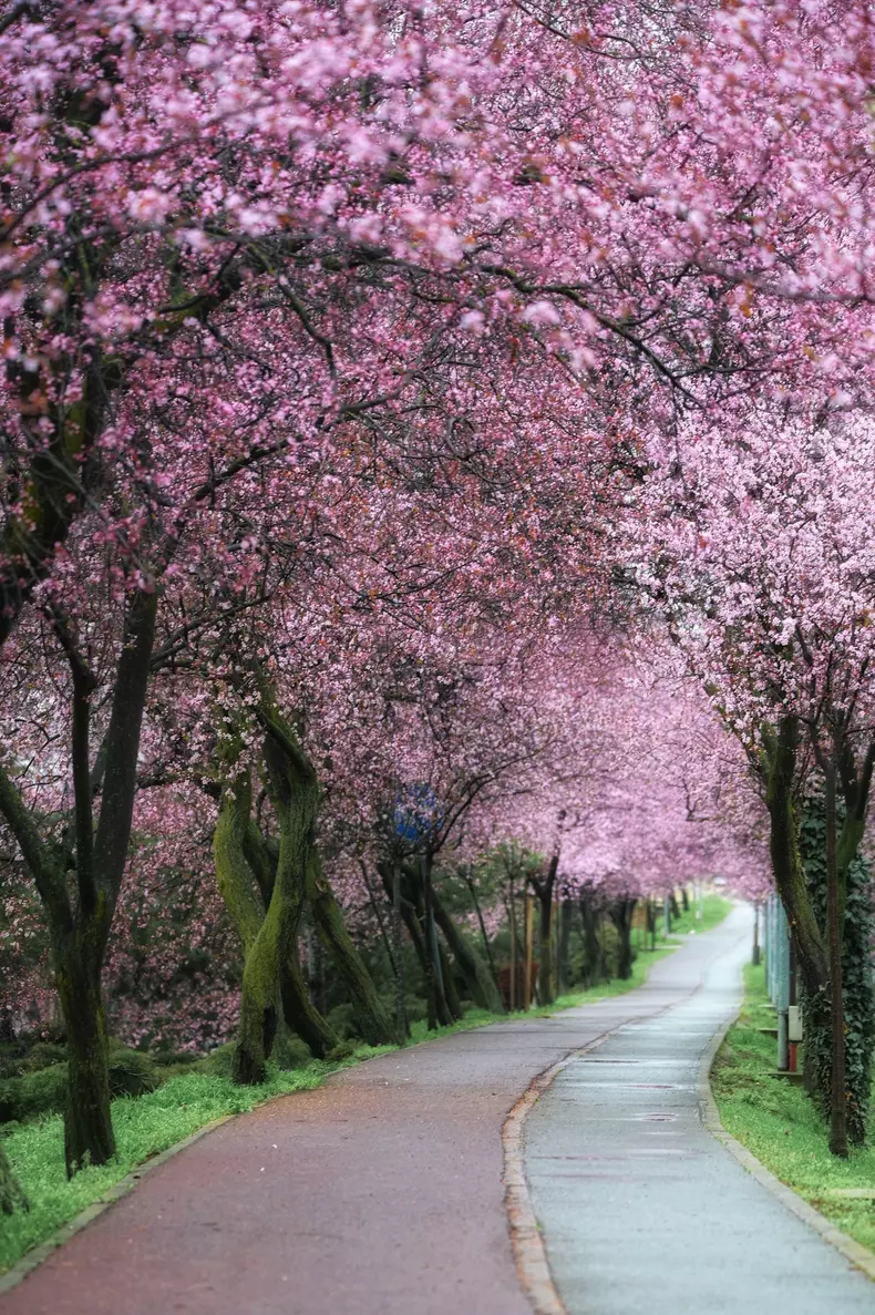 tunelul Iubirii - Razvan vitionescu3