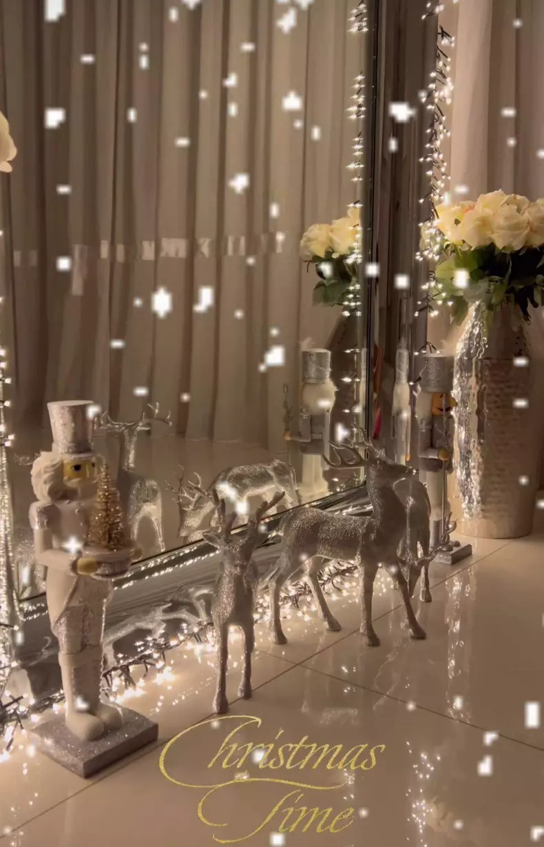 Oana Zăvoranu și-a decorat casa de Crăciun (1)