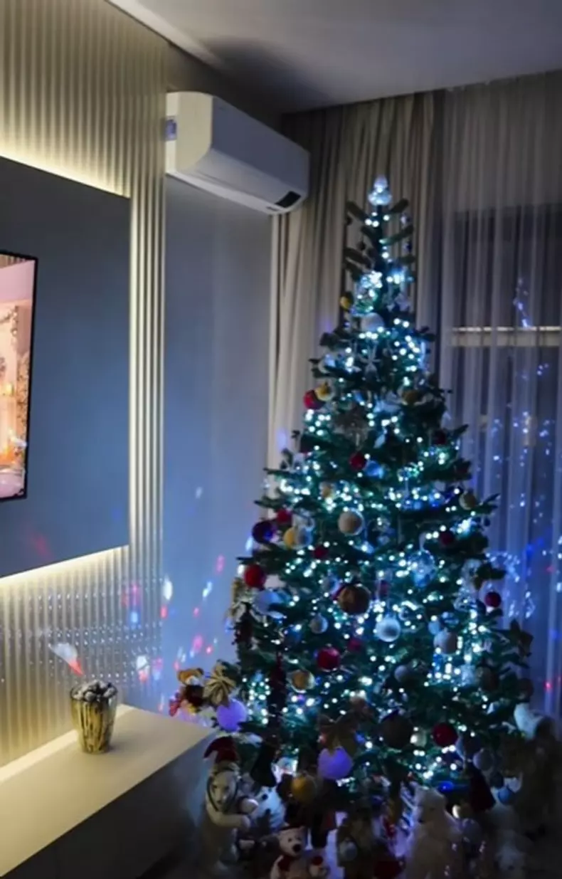 57c9d271-1d9f-4569-baf1-d87d8092ba6b