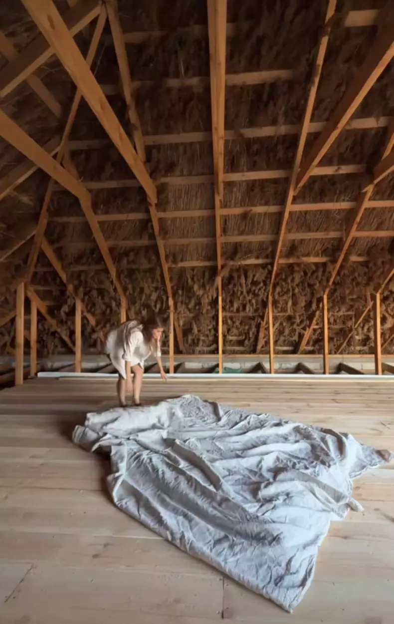 sanziana negru casa padure (2)