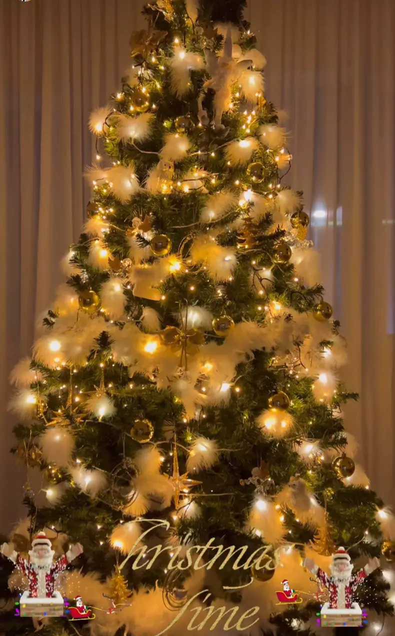 Oana Zăvoranu și-a decorat casa de Crăciun (2)