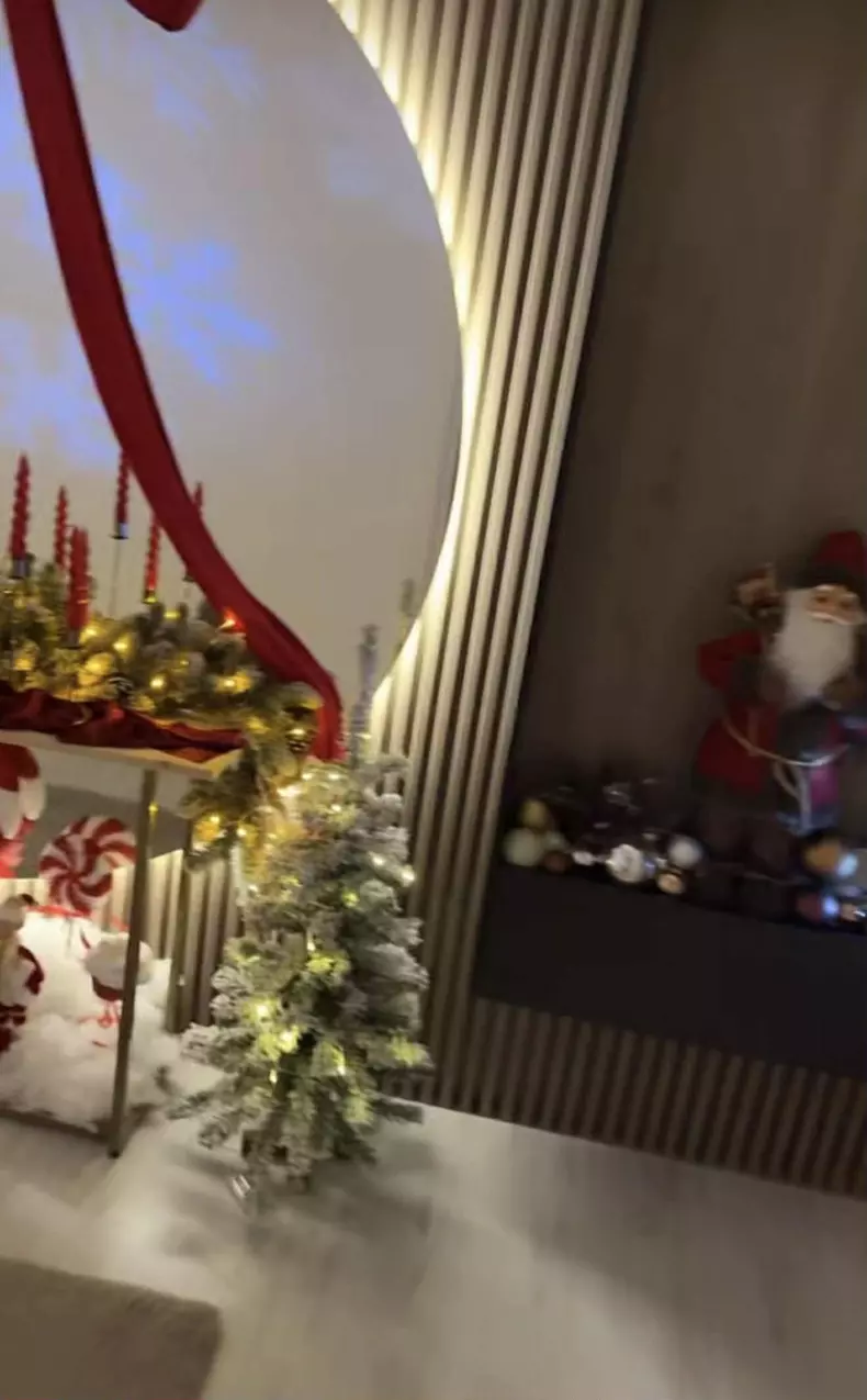 andreea tonciu casa de craciun (9)