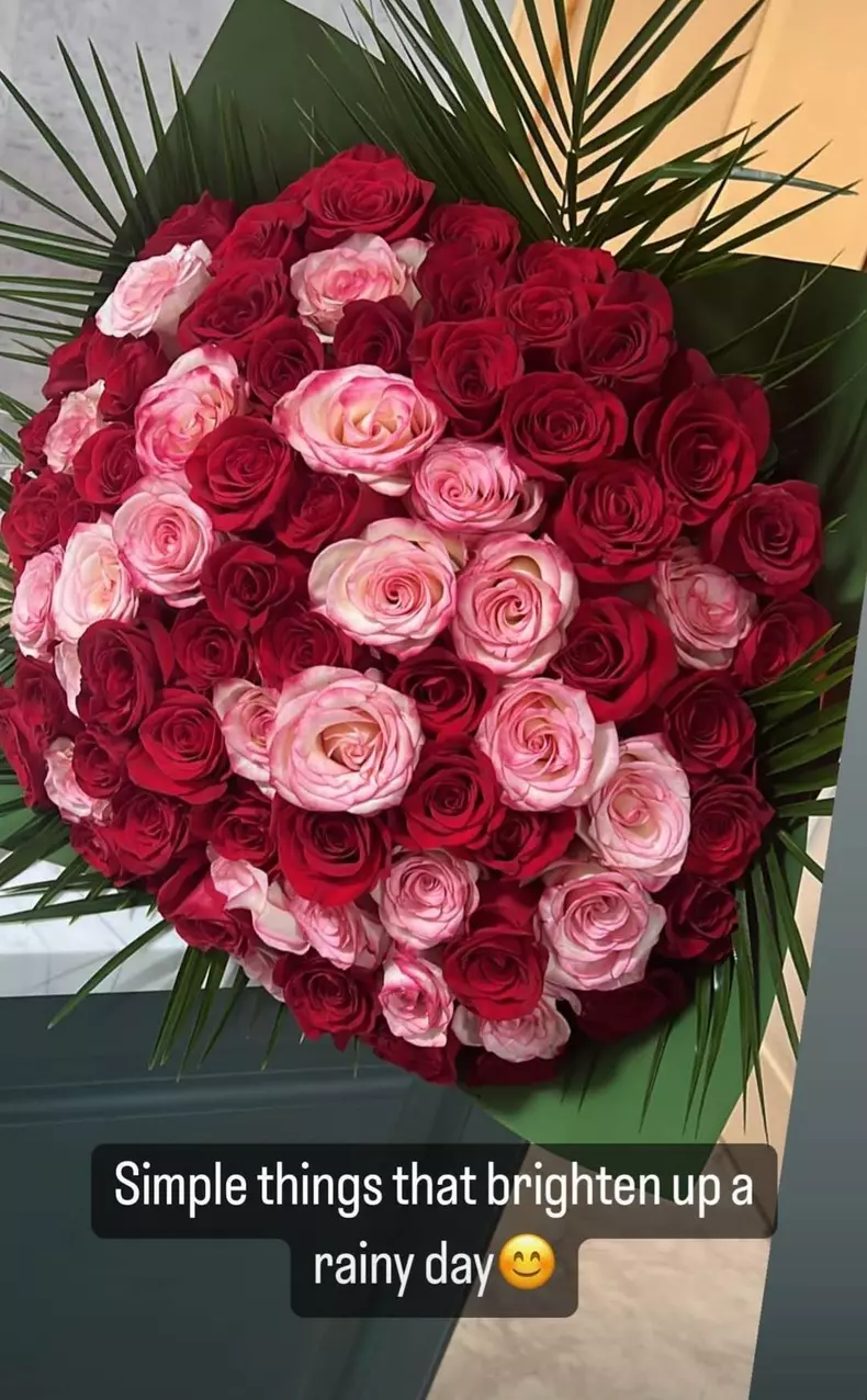 irina-tanase-la-un-an-de-la-despartirea-de-liviu-dragnea-1