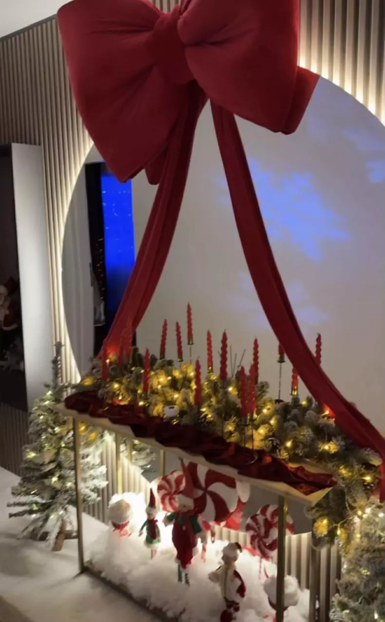 andreea tonciu casa de craciun (6)