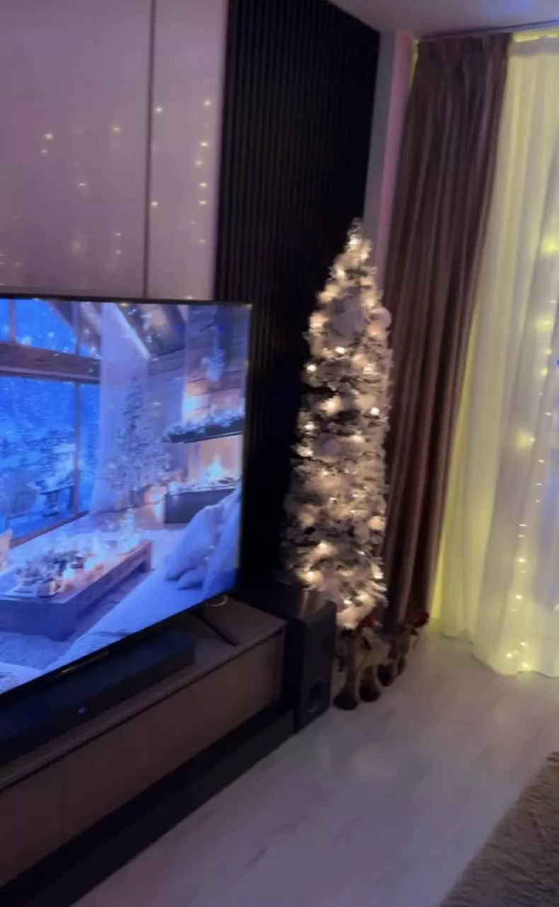 andreea tonciu casa de craciun (8)