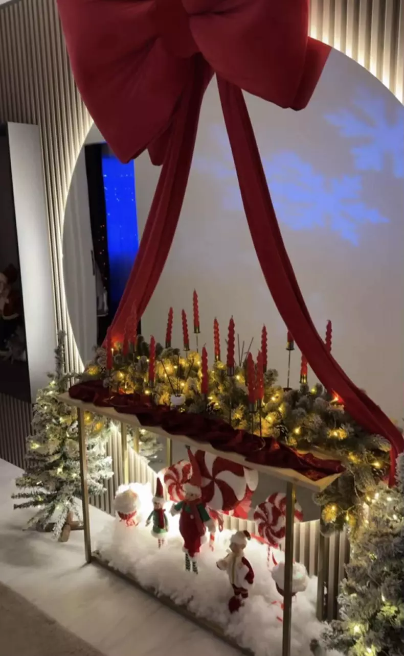 andreea tonciu casa de craciun (1)