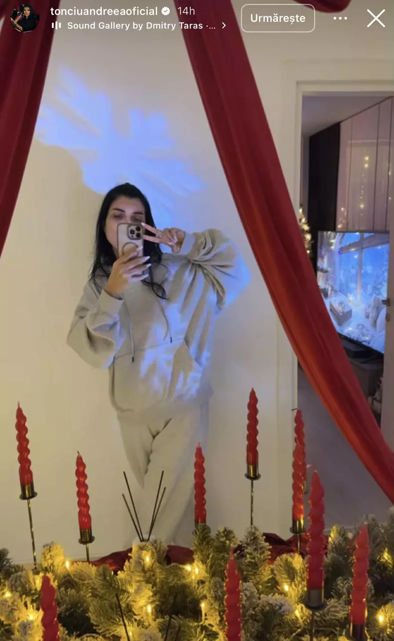 andreea tonciu casa de craciun (7)