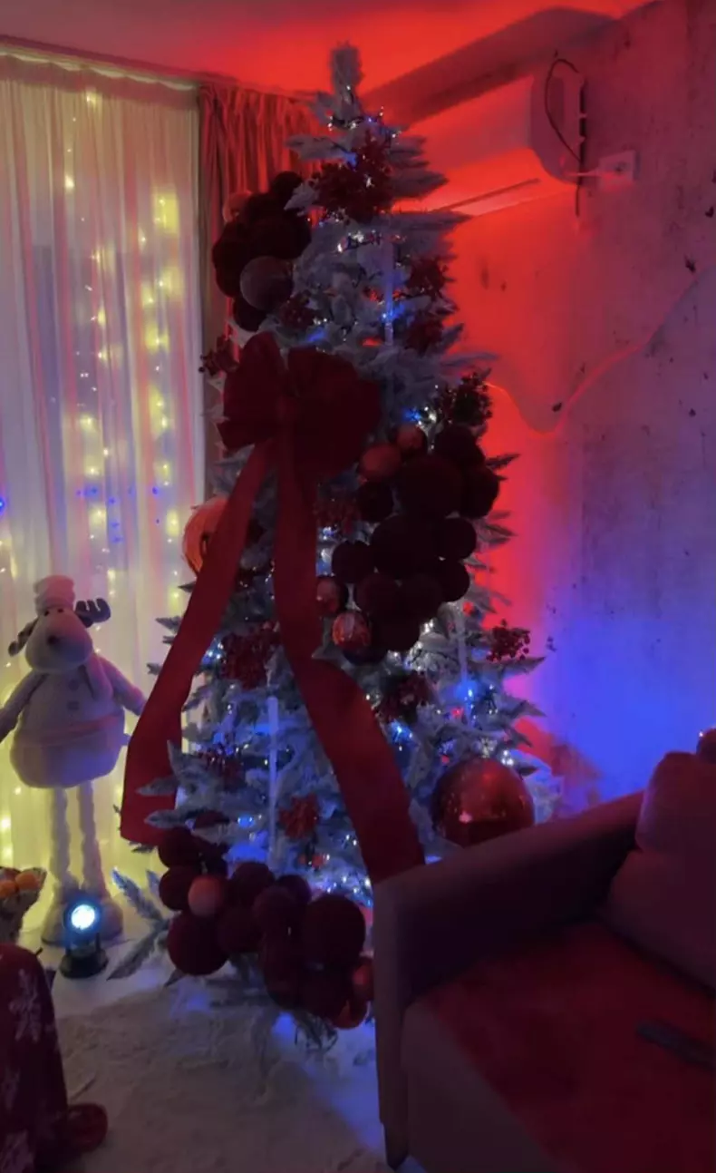 andreea tonciu casa de craciun (2)